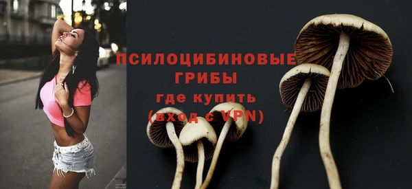 амф Киренск